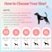 Ambreview Disposable Dog Diapers Female Just Pull It Up Doggie Diapers for Female Dogs Strong Absorbency Leak Proof for Dogs in Heat Elderly Disabled S 100 PCS