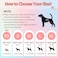 Ambreview Disposable Dog Diapers Female Just Pull It Up Doggie Diapers for Female Dogs Strong Absorbency Leak Proof for Dogs in Heat Elderly Disabled S 100 PCS