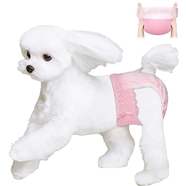 Ambreview Disposable Dog Diapers Female Just Pull It Up Doggie Diapers for Female Dogs Strong Absorbency Leak Proof for Dogs in Heat Elderly Disabled S 100 PCS