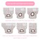 CuteBone Dog Diapers Female Washable Small Medium Large 3 Pack Reusable Doggie Diapers Puppy Period Pants for Doggy Heat Cycle Peeing