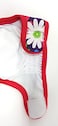 Dr. Judy Dr Judy Morgans Naturally Healthy Pets Washable Reusable Dog Diapers Small