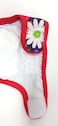 Dr. Judy Dr Judy Morgans Naturally Healthy Pets Washable Reusable Dog Diapers Small