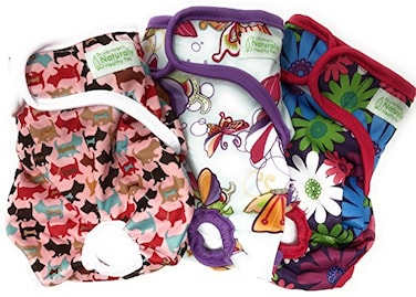 Dr. Judy Dr Judy Morgans Naturally Healthy Pets Washable Reusable Dog Diapers Small