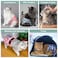 Grecle Reusable Cat Diapers 3 Pack with Good Absorbency Kitten Diapers Small for Female Male Cats Easy to Put On Secure Fit