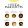 The VanMan Vanmans Handmade Peppermint Beeswax Lip Balm 3 Pack Peppermint Balm with Rosemary Almond and Coconut Oil Bee Balm with Vitamin E Ideal for Dry Lips
