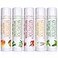 Naturistick Natural Beeswax Lip Balm 5Pack Assorted Flavors Moisturizing Lip Care 015 oz Tubes