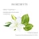 Peripera Ink Mood Glowy Tint LipPlumping Naturally Moisturizing Lightweight GlowBoosting LongLasting Comfortable NonSticky No White Film 02 CORAL INFLUENCER