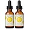 Mad Hippie Vitamin C Serum for Face 2Pack C E Ferulic Acid Hyaluronic Acid Stable LowIrritation Formula Brightening 102 Fl Oz Ea