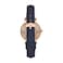 Fossil Womens Watch Carlie Quartz Stainless Steel ThreeHand Watch for Women