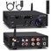 Beffkkip Amplifier Home AudioStereo Receiver Bluetooth 50 Power amp 100W x2 Wireless HiFi Stereo Class D Digital 2 Channel Integrated with Bass Treble Control for Passive Speakers