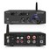 Beffkkip Amplifier Home AudioStereo Receiver Bluetooth 50 Power amp 100W x2 Wireless HiFi Stereo Class D Digital 2 Channel Integrated with Bass Treble Control for Passive Speakers