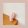 LEWOTE Silicone Case Compatible for Apple Airpods with Funny Cute Cover Cute Pet DesignPink Pig