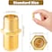 PASOW F Type RG6 Coupler Gold Plated Female to Female Barrel Coaxial Adapter 10 pcs