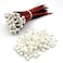 FainWan 100Sets Mini Micro JST 20 PH 2Pin Connector Plug with Wires Cables 120MM
