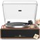 seasonlife Turntable Record Player with Builtin Speakers Vinyl Record Player Support Bluetooth Playback Auto Stop 3345 RPM Speed RCA Line Out AUX in Allinone BeltDrive Turntable for Vinyl Records