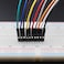 HELLOYEE Breadboard Jumper Wires Male to Female 12 Length 01 Square Head 100Pack 10 Colors 24AWG by Hellotronics 30CM 1P MF
