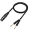 QIANRENON XLR Female to Dual TS 14 Stereo Splitter Cable 3Pin XLR to Dual 635mm Mono Y Splitter Conversion Extension Audio Cablefor Microphone Guitars Amplifier Mixer1m32ft