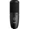 AKG P120 Cardioid Condenser Microphone Black with XLRXLR Cable Pop Filter 10Pack Straps Bundle