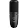 AKG P120 Cardioid Condenser Microphone Black with XLRXLR Cable Pop Filter 10Pack Straps Bundle
