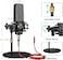 Beyoursun Podcast Equipment Bundle Audio Mixer with Studio Condenser Microphone Live Sound Card Audio Mixer Interface Sound Board Sound Card with Voice Changer Denoise for PC Recording Gaming Podcasti