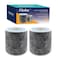 Flintar HP102 Replacement Filter Made in TAIWAN Compatible with Shark Air Purifier HP100 HP102 HC450 HC451 HC452 HC455 Compares to Part HE1FKBAS and HE1FKPET 2Pack