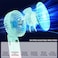 Peiyuu Portable Fan 4000mAh USB Rechargeable 180 Foldable Mini Desk Fan with 6 Wind Speed LCD Digital Display Lanyard as Neck Fan Ultra Quiet