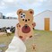 Yatchen Bear Case Compatible with iPhone 14 Pro MaxKawaii Phone Cases Cute 3D Cartoon Teddy Bear with Keychain Women Girls Soft Silicone Shockproof Cover for iPhone 14 Pro Max