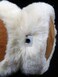 ALZO digital ALZO Bluetooth Earmuff Headphones Fashion Accessory Color Cream Caramel