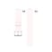 INF Silicone Watch Wristband Watch Strap for Huawei Watch Fit TIAB09TIAB19