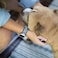Tefeca Unity Series Elastic CompatibleReplacement Band for Apple WatchApple Watch UltraSea FishXXS fits Wrist Size 5055 inch 414038mm