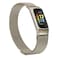 KOREDA Compatible with Fitbit Charge 5 Bands for Women Men Stainless Steel Mesh Loop Adjustable Wristband Replacement for Fitbit Charge 5 Advanced Fitness Health Tracker Champaign Gold