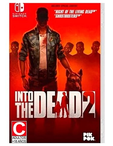 Gearbox Publishing Into the Dead 2 Nintendo Switch