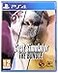 Deep Silver Goat Simulator The Bundle PS4