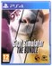 Deep Silver Goat Simulator The Bundle PS4