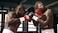 Electronic Arts Fight Night Champion Xbox 360