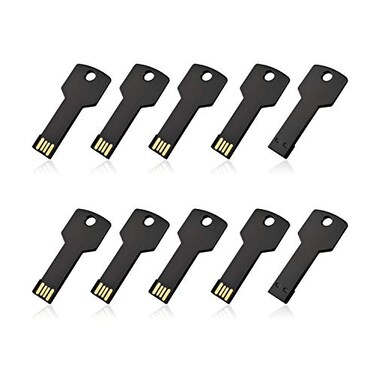 RAOYI 10 Pack 2GB USB Flash Drive USB 20 Metal Key Shape Memory Stick Thumb Drive Pen DriveBlack