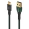 AudioQuest 15m Forest USBC A HighDefinition Audio Cable