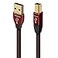 AudioQuest Cinnamon 3 Meter 10 Feet Digital Audio USB Cable AB