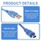 Antrader 1Feet Mini USB 20 Cable AMale to MiniB 30cm Length Pack of 6