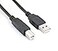 Cuziss 10FT USB PC Mac Data Sync Cable for Cricut Expression 2 Electric Cutting Machine