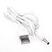 RuenTech Charger Compatible with FOREO UFO UFO2 UFOmini 2 BearBEARminiBabyBearPapabear Repalcement USB Charger Cable 33FT 2White