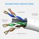 ecjtu Cat6 Patch Cables 10 Feet 6 Pack Cat 6 Ethernet Cable 24AWG CCA UTP Network Cord Internet Cable Compatible for PC Laptop Router Switch Server Printer RJ45 LAN with 25 Cable Ties 10FT