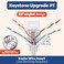 Everest Media Everest 45 Angled RJ45 Cat6 Keystone Jacks 10Pack in White Slim Profile Female RJ45 Connectors Cat 6 Keystone Jack Compatible with 45 Angled Speed Termination Tool 45Term B0BL3GS7ZY