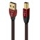 AudioQuest 15 m Cinnamon USBA B HighDefinition Audio Cable