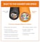 Tether Tools TetherPro 10G USBC to USBC 3 1m HighVisibility Orange 60W PD