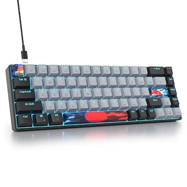 Mosptnspg Protable 60 Percent Gaming Keyboard Mechanical Mini Compact RGB Backlit 68 Keys Wired Office Keyboard with Red Switch for MacWin Dolchred Switch 68