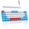 LexonElec T60PRO 60 Mechanical Keyboard and Mouse Coiled USB C Cable Compact RGB LED Backlit Keyboard Linear Red Switch 6400 DPI Programmable RGB Mouse for PC Mac GamerBlueWhite