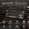 RK ROYAL KLUDGE M75 Wireless Mechanical Keyboard 24GhzBT51USBC Gaming Keyboard 75 Layout 81 Keys Gasket Mount with OLED Display Knob RGB Backlight HotSwappable Pale Green Switch Grey