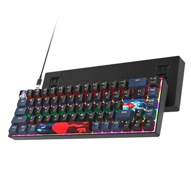 Ussixchare 60 Percent Gaming Keyboard 68 Keys Mechanical Keyboard Rainbow Backlit Compact Wired Keyboard with Red Switch for Windows PS45 Xbox68 Blue