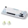 MOLGRIA x Aula F75 Gaming Keyboard Triple Mode Connected 75 Light Blue Mechanical Keyboard with SouthFacing RGB Backlit and KnobBlackLEOBOG Reaper Switch
